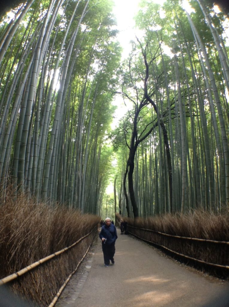 kyoto